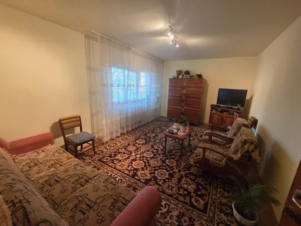 Apartament 2 camere Timișoara - poza 3