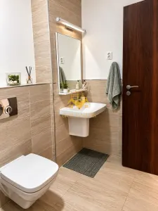 2 camere open space, Modern, Grand Hotel, Lidl, Buna Ziua, Lidl - foto 6