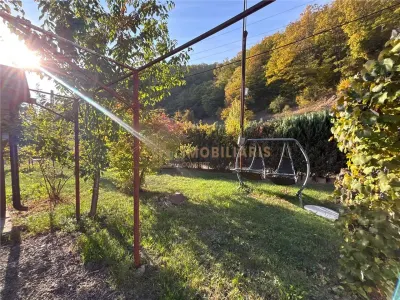 Proprietate de vanzare-Handalul Ilbei - foto 2