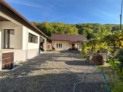 Proprietate de vanzare-Handalul Ilbei - foto 3