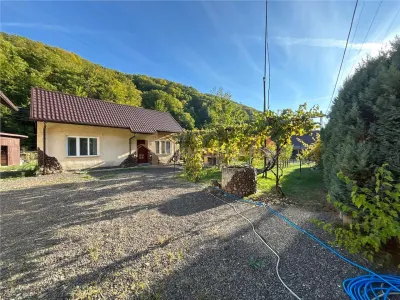 Proprietate de vanzare-Handalul Ilbei - foto 22