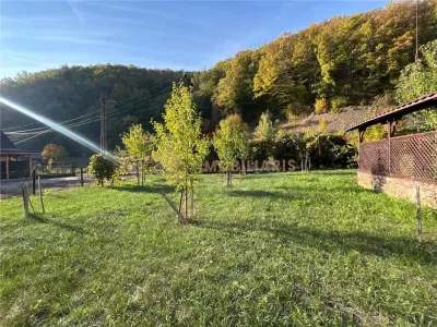 Proprietate de vanzare-Handalul Ilbei - foto 4
