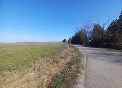 Teren Mixt, Calarasi  DN3 - foto 5