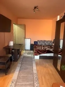 Apartament cu o cameră, centrală + balcon în zona Freidorf Timișoara - foto 2