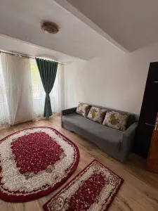 Apartament 1 cameră | Gheorghe Doja | Vizavi de Parcul Carmen Sylva - foto 3