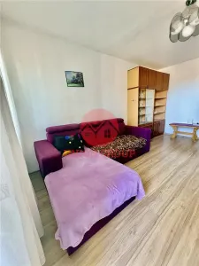 Apartament 2 Camere Decomandat Zona Casa de Cultura - foto 3