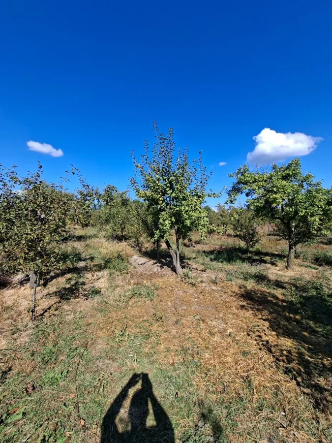 Casă 3 camere Cuca - poza 3