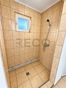 RECO Spatiu Comercial, Santion - foto 11