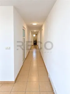 RECO Spatiu Comercial, Santion - foto 14