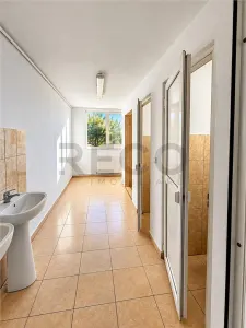 RECO Spatiu Comercial, Santion - foto 6