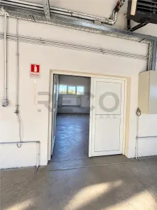 RECO Spatiu Comercial, Santion - foto 7