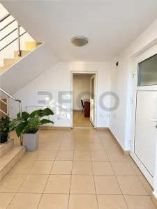 RECO Spatiu Comercial, Santion - foto 8
