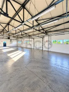 RECO Spatiu Comercial, Santion - foto 10