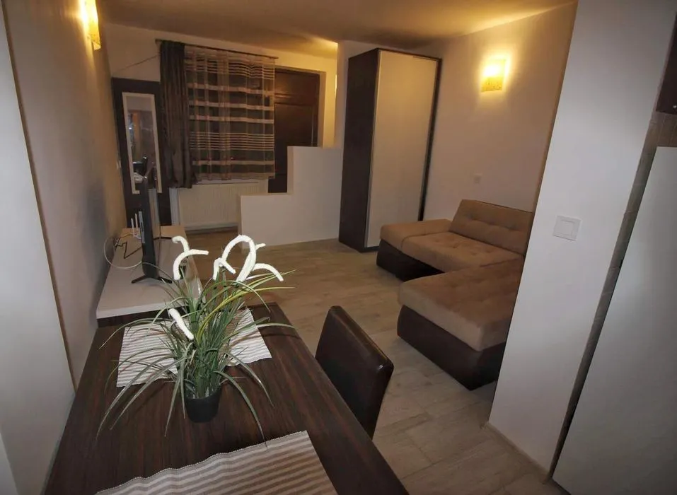 Apartament 1 camera Craiova - poza 1