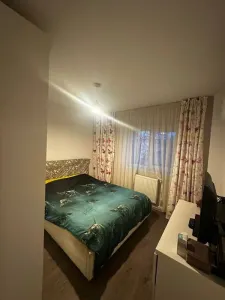 Apartament 2 Camere Decomandat, AC – Nicolina 1, Prima Stație dupa Podu Ros - foto 2