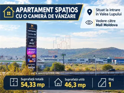 Apartament spatios cu o camera de vanzare in Valea Lupului - Valea Lupului