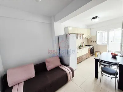 Apartament spatios cu o camera de vanzare in Valea Lupului - foto 5