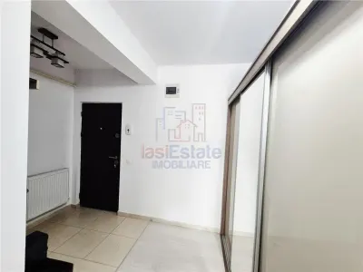 Apartament spatios cu o camera de vanzare in Valea Lupului - foto 7
