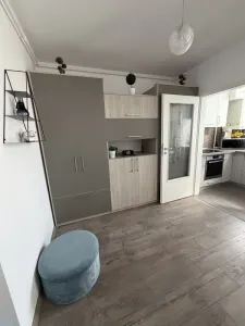 Apartament 1 camera Timișoara - poza 5