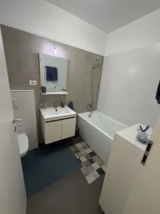 Apartament 1 camera Timișoara - poza 6
