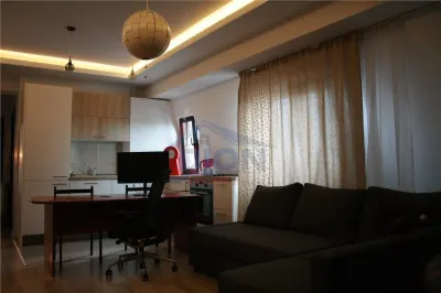 APARTAMENT 2 CAM,  PIATA IANCULUI - foto 3