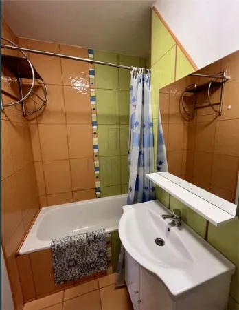 Apartament 2 camere Timișoara - poza 6