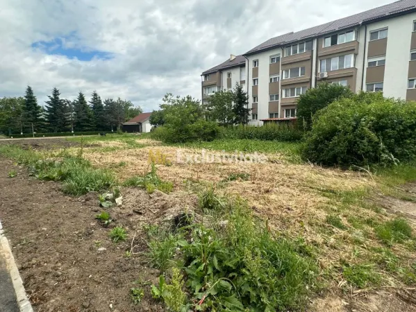 Teren Ghermanesti - poza 4
