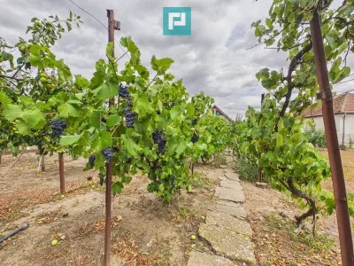 Casă solidă în Curtici cu teren de 1166 mp - foto 33