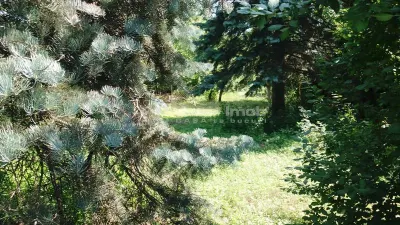 Teren Chitila - poza 2