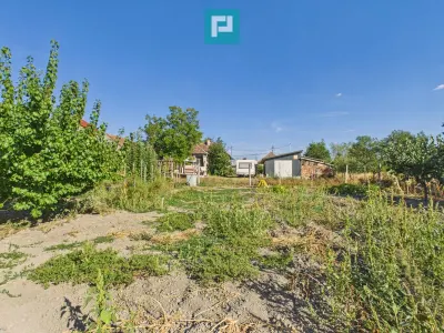 Casa si teren de vanzare in Bicaci - 2350mp - foto 4