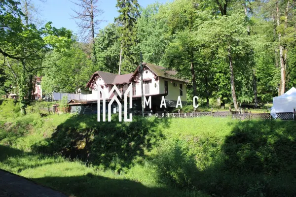 Spațiu comercial Călimănești - poza 15