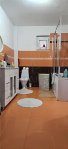 Snmihaiul Roman- garaj incalzit- terasa acoperita - Sanmihaiu Roman