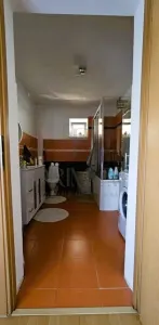 Snmihaiul Roman- garaj incalzit- terasa acoperita - foto 2