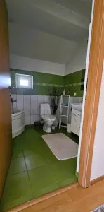 Snmihaiul Roman- garaj incalzit- terasa acoperita - foto 9