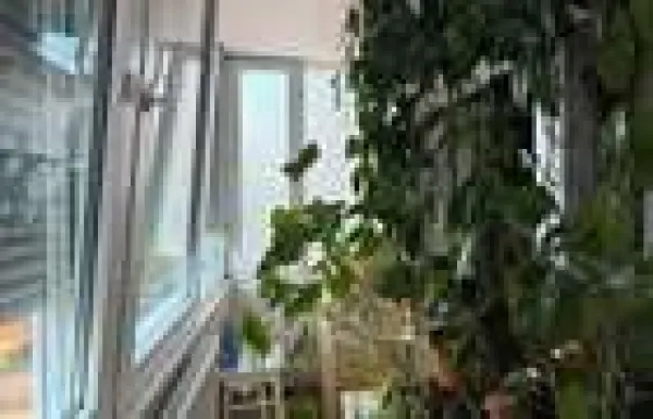 Apartament 3 camere Timișoara - poza 10