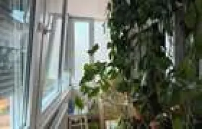 Apartament 3 camere Timișoara - poza 10