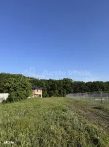 Teren Branesti   Padure - foto 2