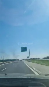 Teren Branesti   Padure - foto 3
