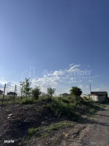 Teren Branesti   Padure - foto 4