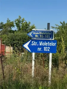 Teren Branesti   Padure - foto 6