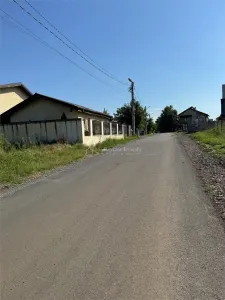 Teren Branesti   Padure - foto 7
