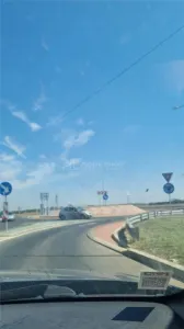 Teren Branesti   Padure - foto 8