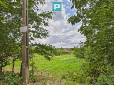 Teren intravilan, 818 mp, Gh. Doja langa padure - Oradea