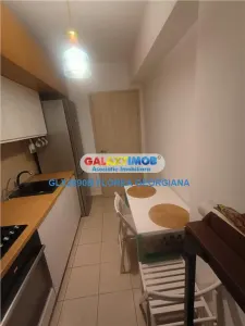 Inchiriere apartament 2 camere  parter gradina Baneasa Greenfield - foto 12