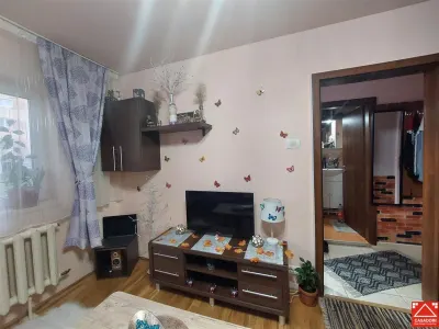 Garsoniera amenajata, zona P-ta Mihai Viteazul, parter - Arad