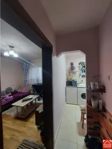 Garsoniera amenajata, zona P-ta Mihai Viteazul, parter - foto 14