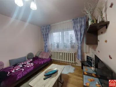 Garsoniera amenajata, zona P-ta Mihai Viteazul, parter - foto 4