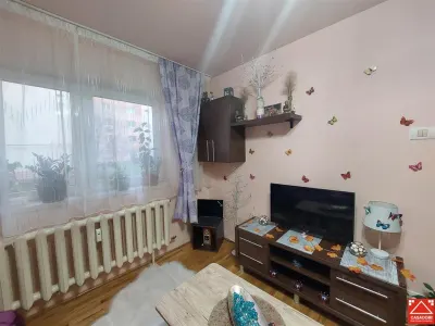 Garsoniera amenajata, zona P-ta Mihai Viteazul, parter - foto 7