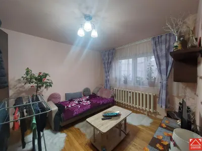 Garsoniera amenajata, zona P-ta Mihai Viteazul, parter - foto 8