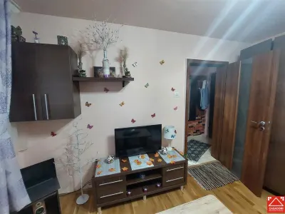 Garsoniera amenajata, zona P-ta Mihai Viteazul, parter - foto 9